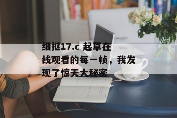 细抠17.c 起草在线观看的每一帧，我发现了惊天大秘密
