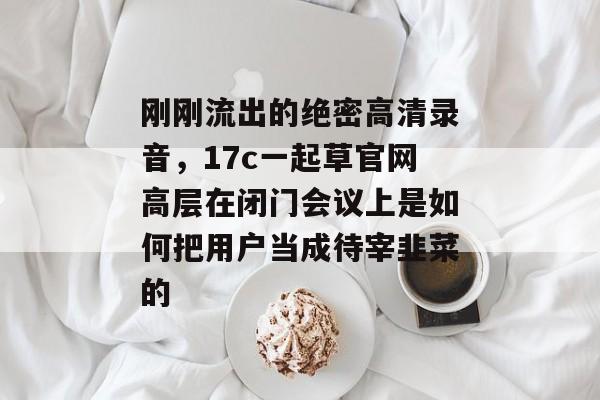 刚刚流出的绝密高清录音，17c一起草官网高层在闭门会议上是如何把用户当成待宰韭菜的